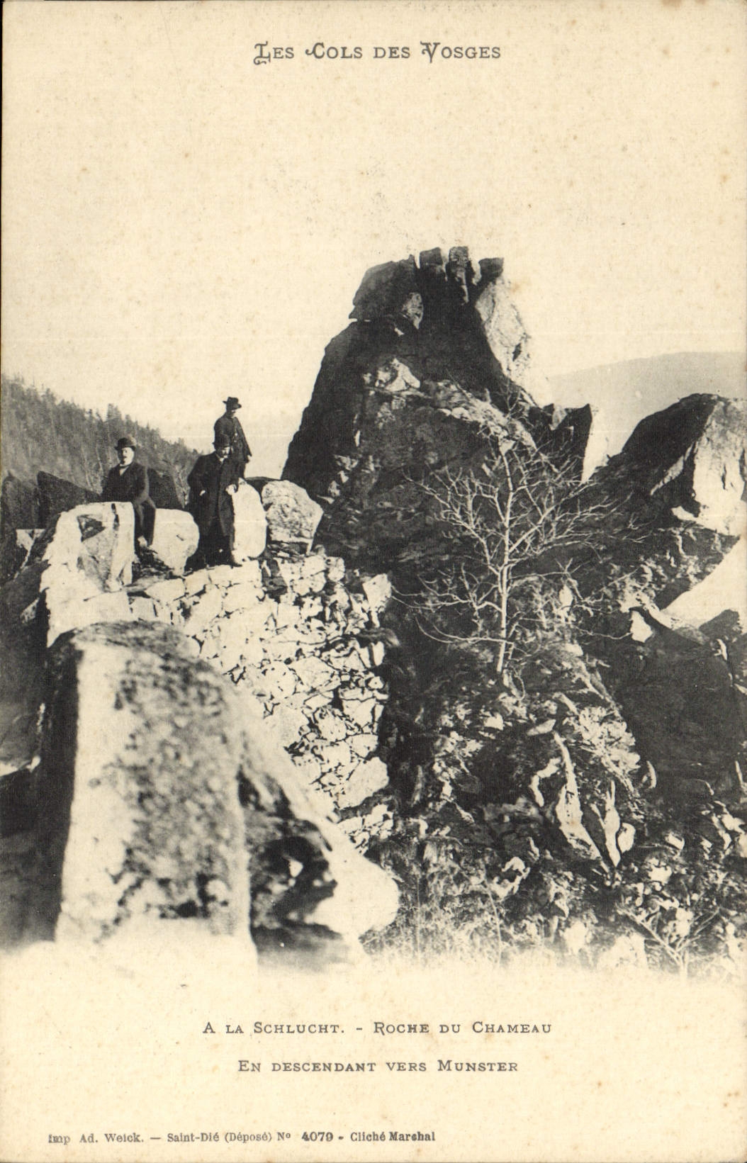 CPA Les Cols des Vosges A La Schlucht Roche du Chameau en Descendant vers Munster 