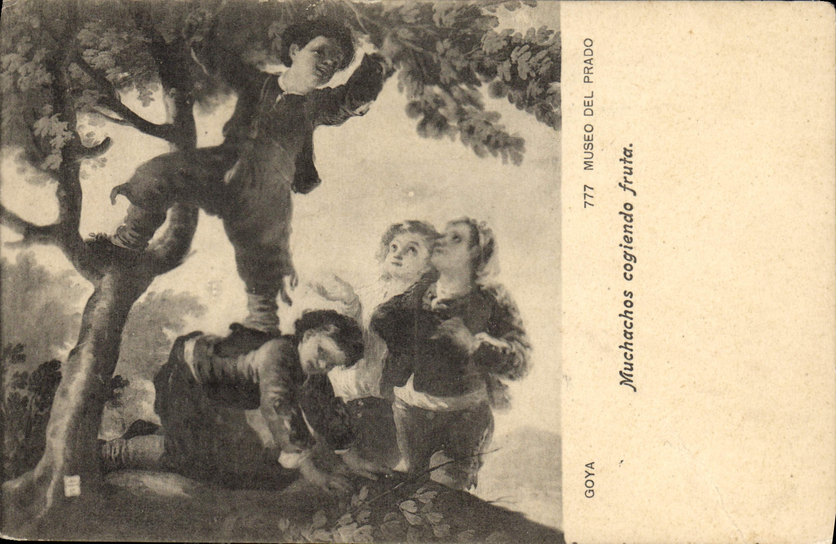 CPA Museo Del Prado Muchachos Cagiendo Fruta 