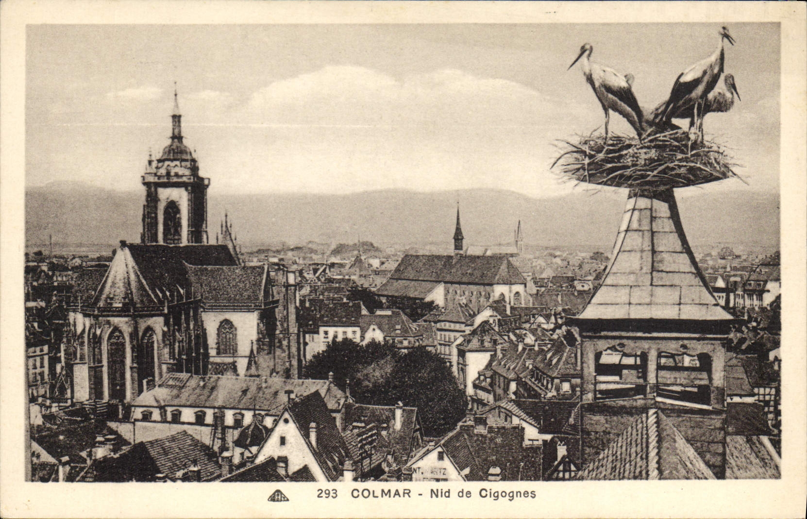 CPA Colmar Nid de Cigognes 