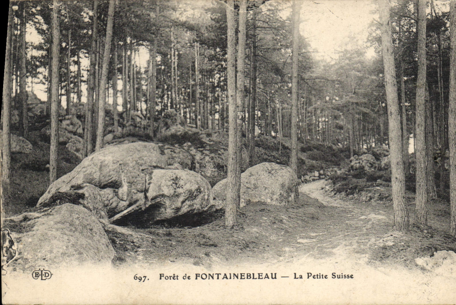 CPA Foret de Fontainebleau le Petite Suisse
