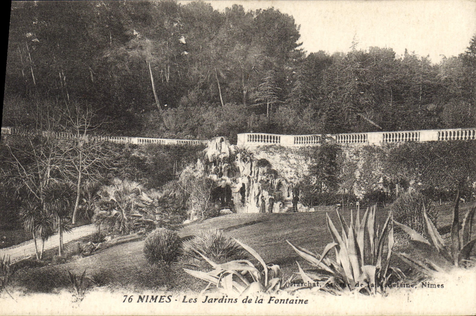 CPA Nimes Les Jardins de la Fontaine 