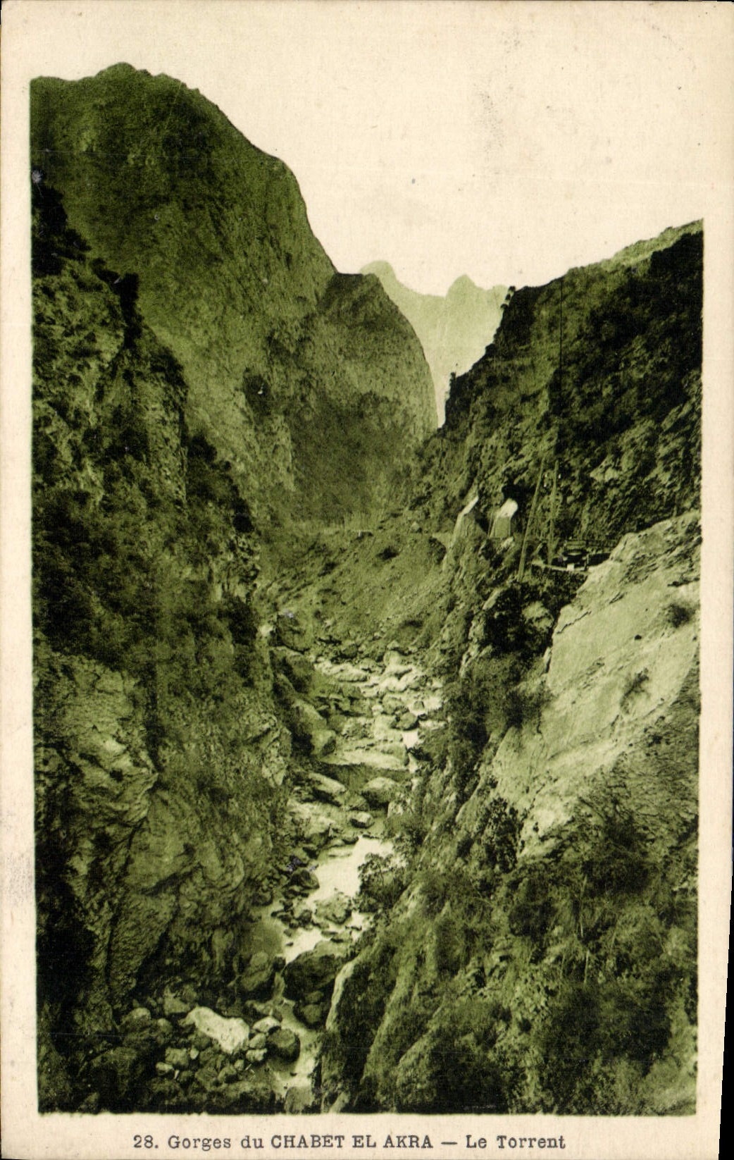 CPA Gorges du Chabet el Akra Le Torrent