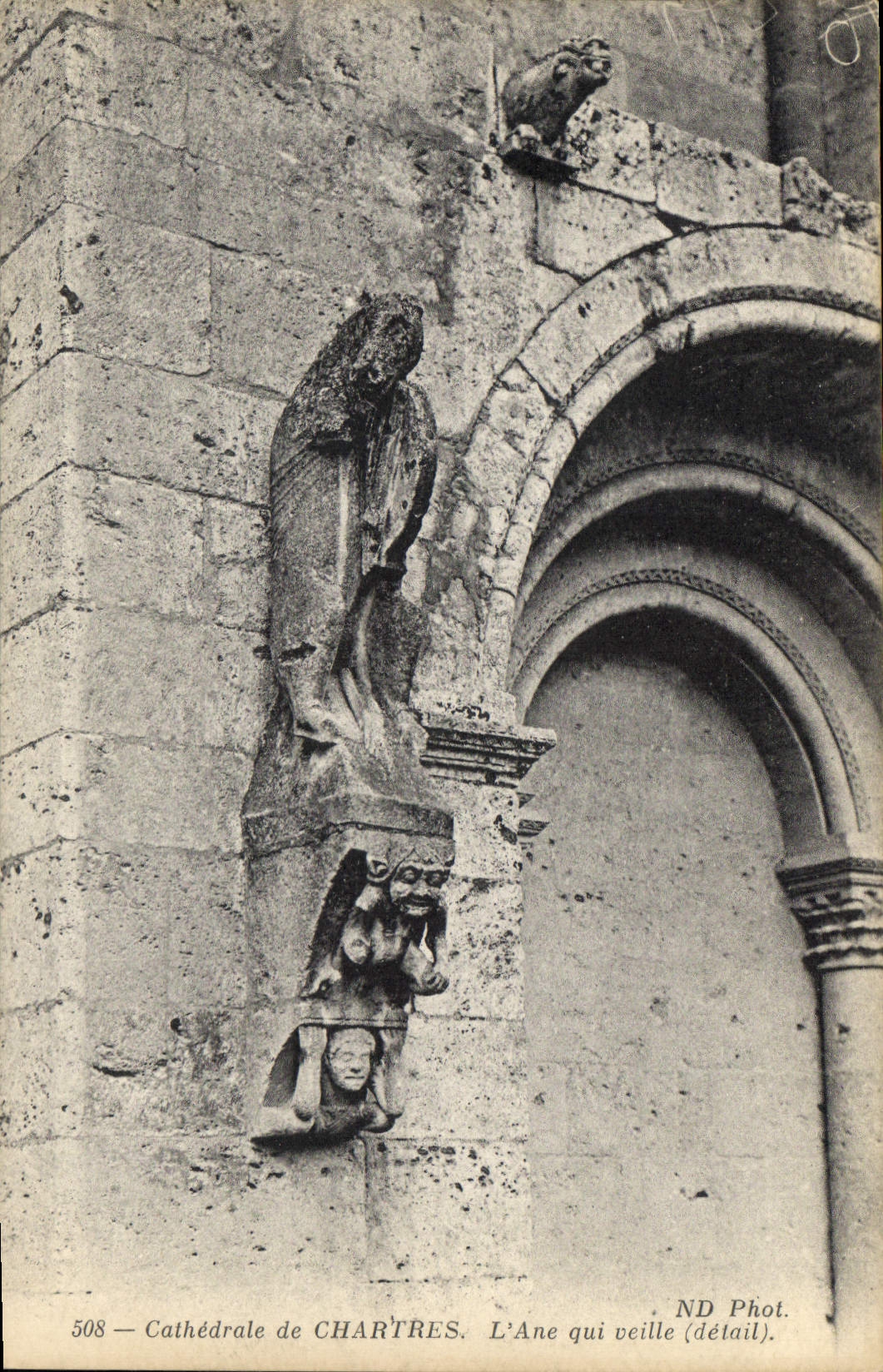 CPA Cathedrale de Chartres L'Ane qui veille detail