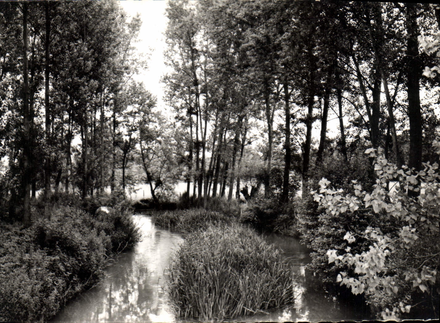 CPA Ervy le chatel Aube Les Bords de l'Armance 
