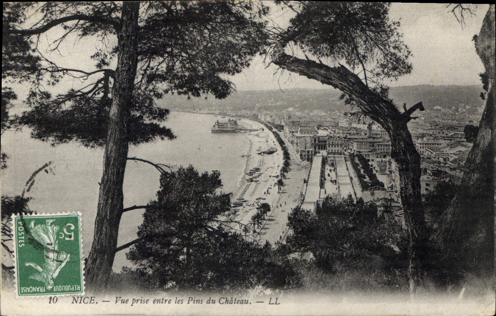 CPA Nice Vue prise entre les pins du Chateau