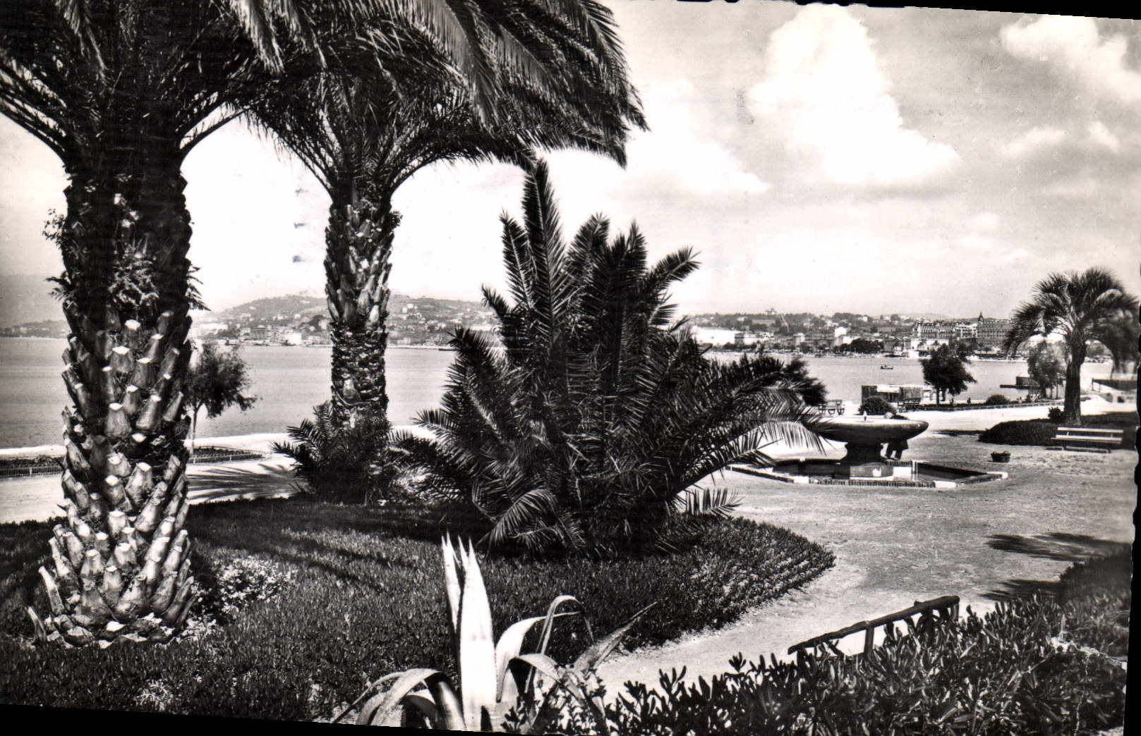CPA Cannes AM Le jardin du Casino 