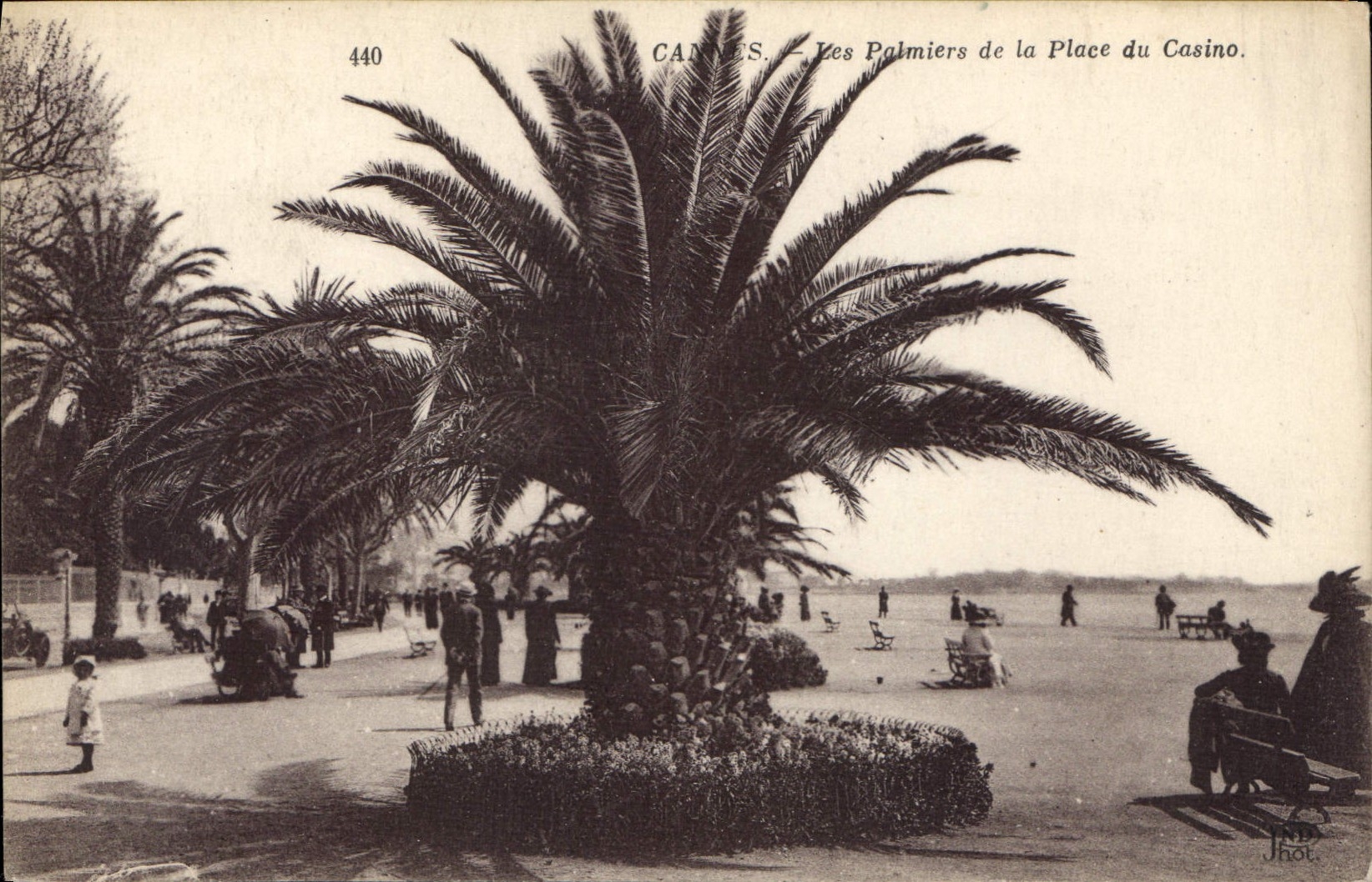 CPA Cannes Les Palmiers de la Place du Casino