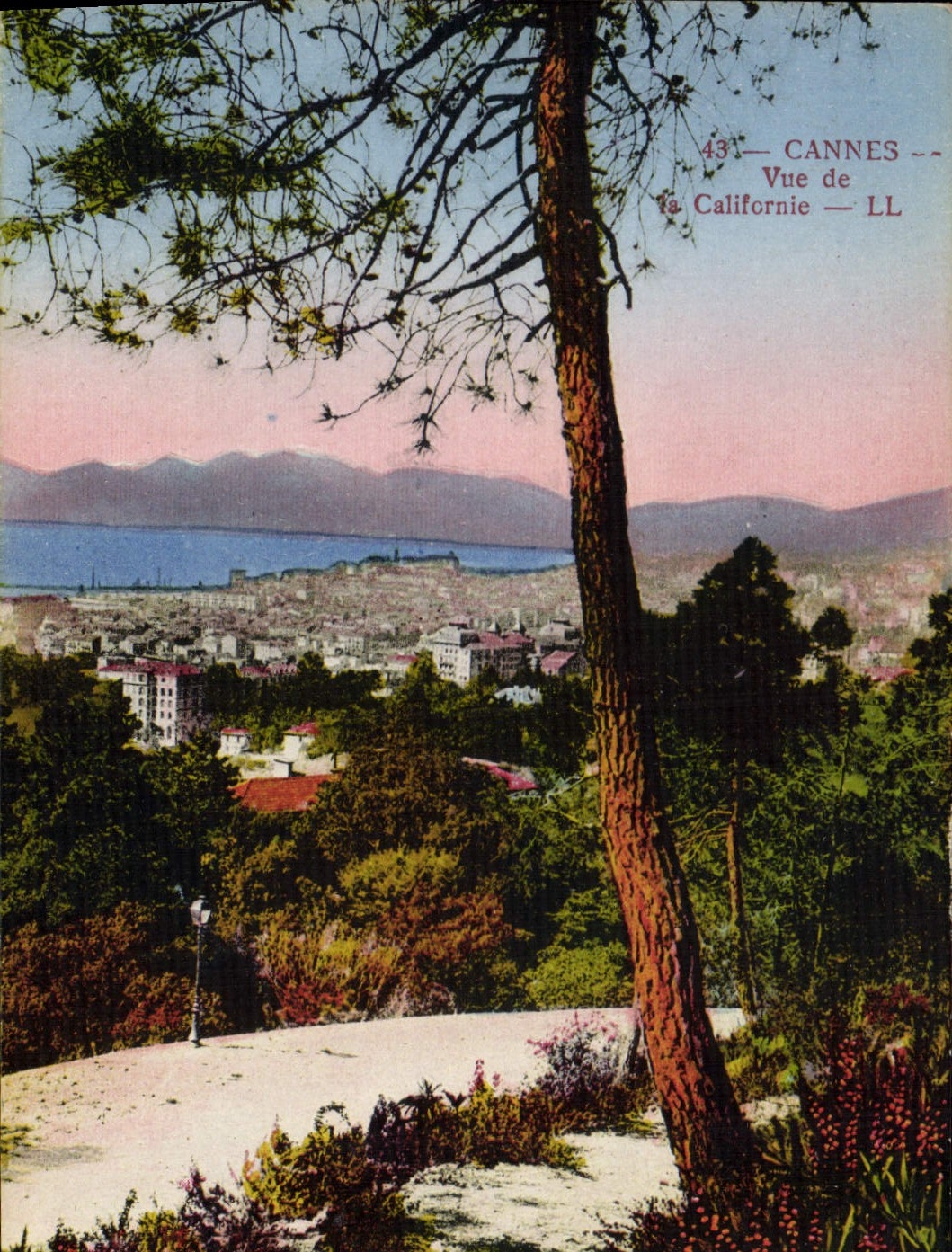 CPA Cannes Vue de Californie 