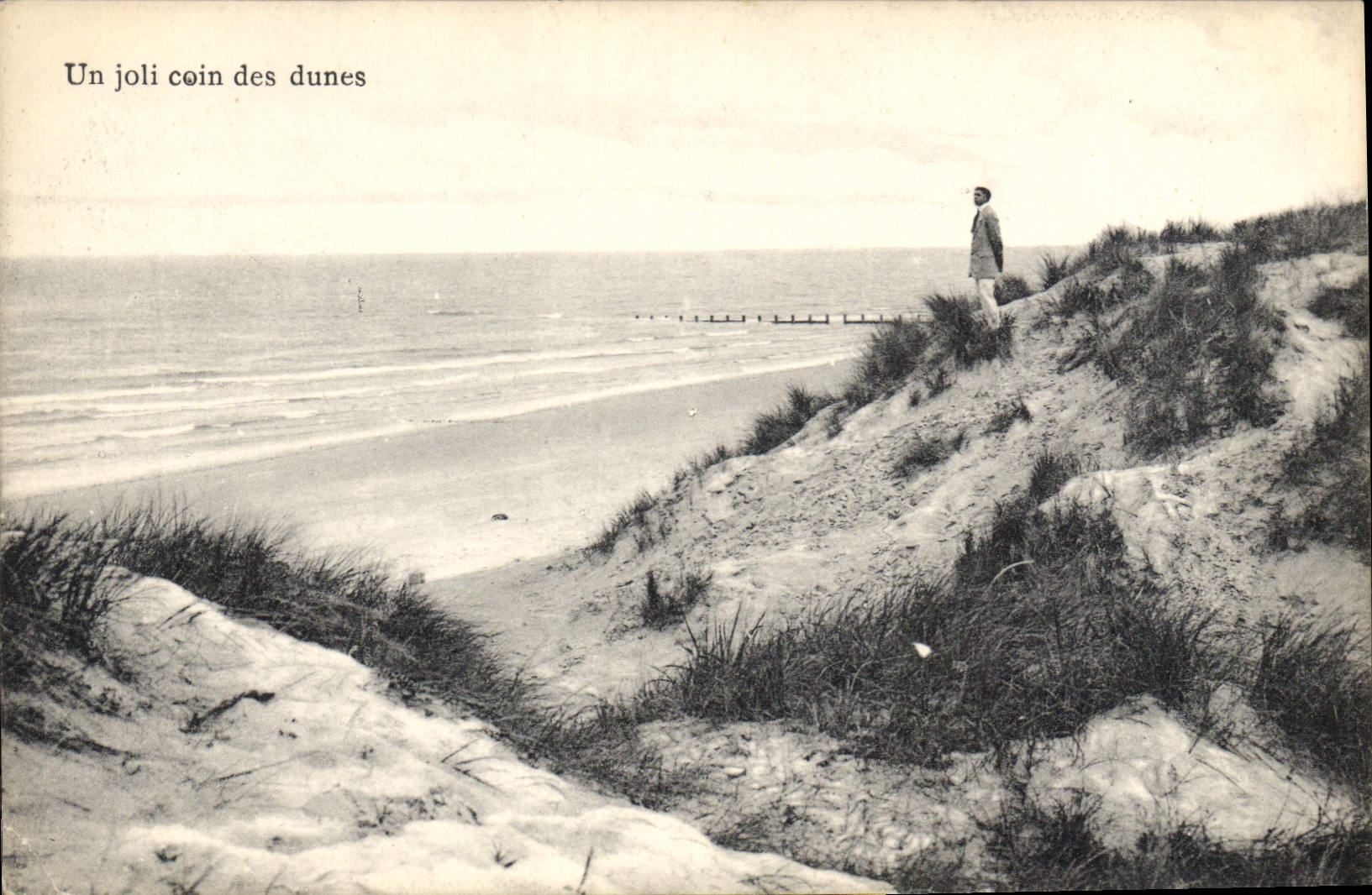 CPA Un joli coin des dunes 