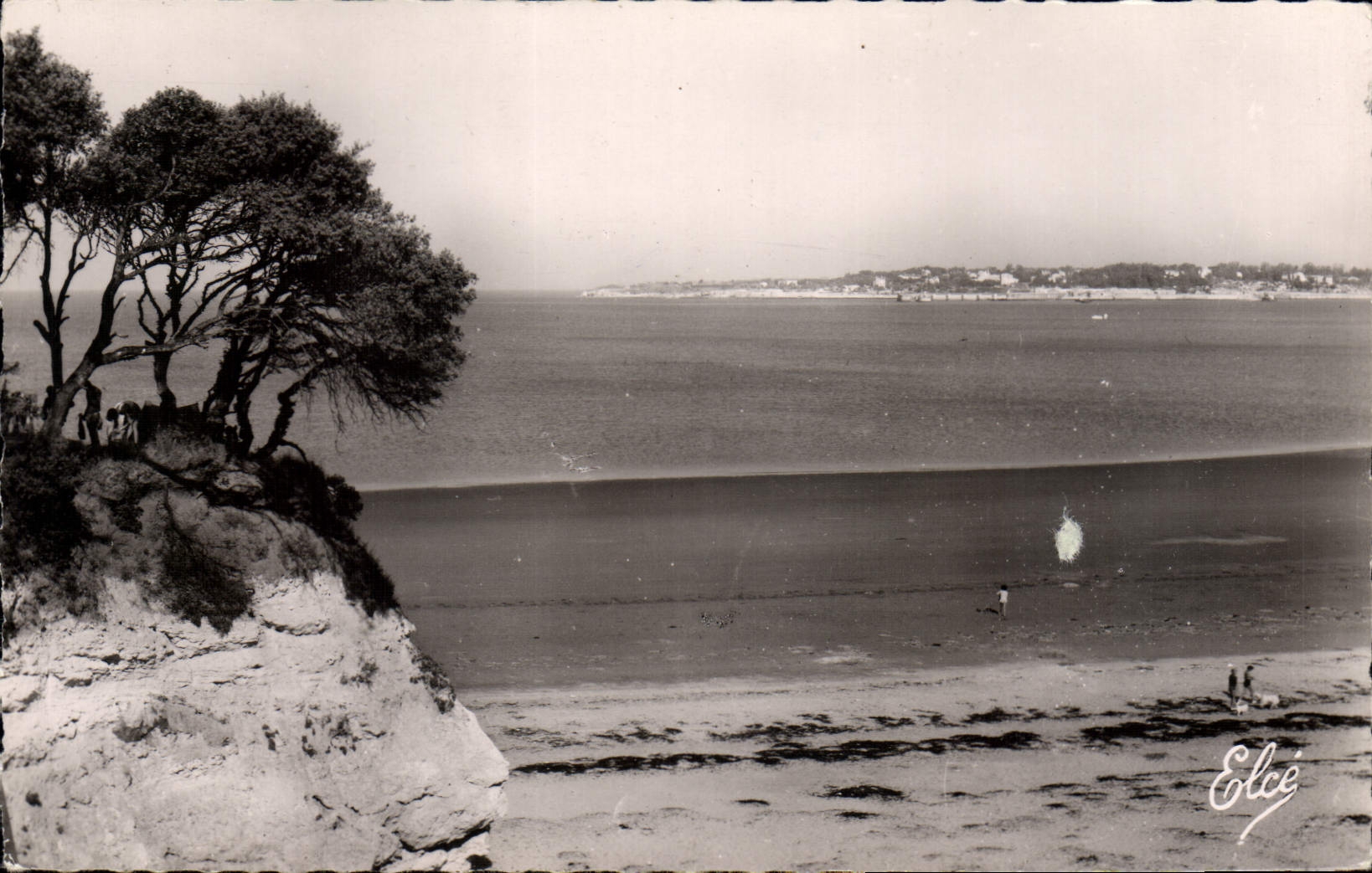 CPA Royan Charente Maritime Depuis Valliere vue sur la Cote de Royan et de Pontaillac 