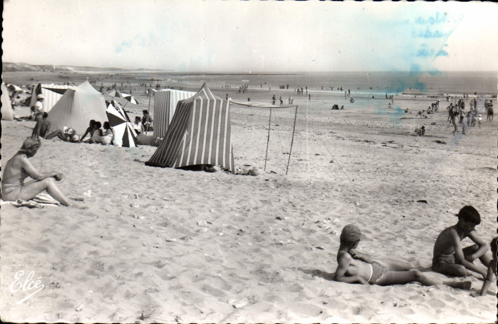 CPA Ile de Re Chte Mme Le Bois La Plage 