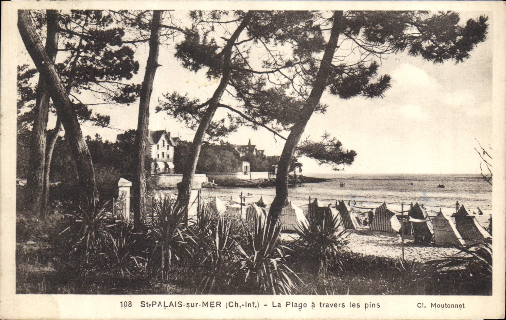 CPA St Palais sur Mer Ch Inf La Plage a travers les pins