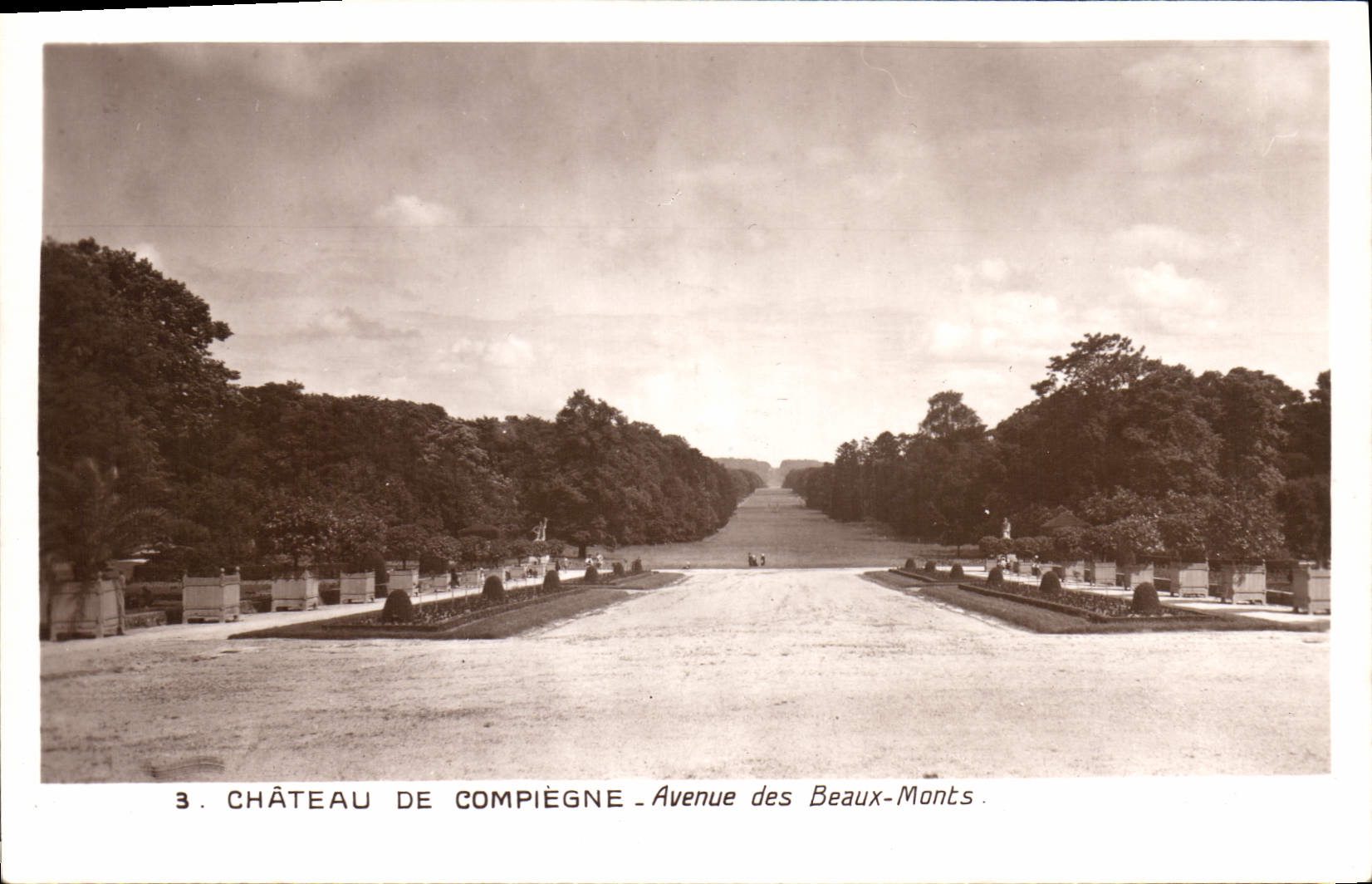 CPA Chateau de Compiegne Avenue des Beaux Monts 
