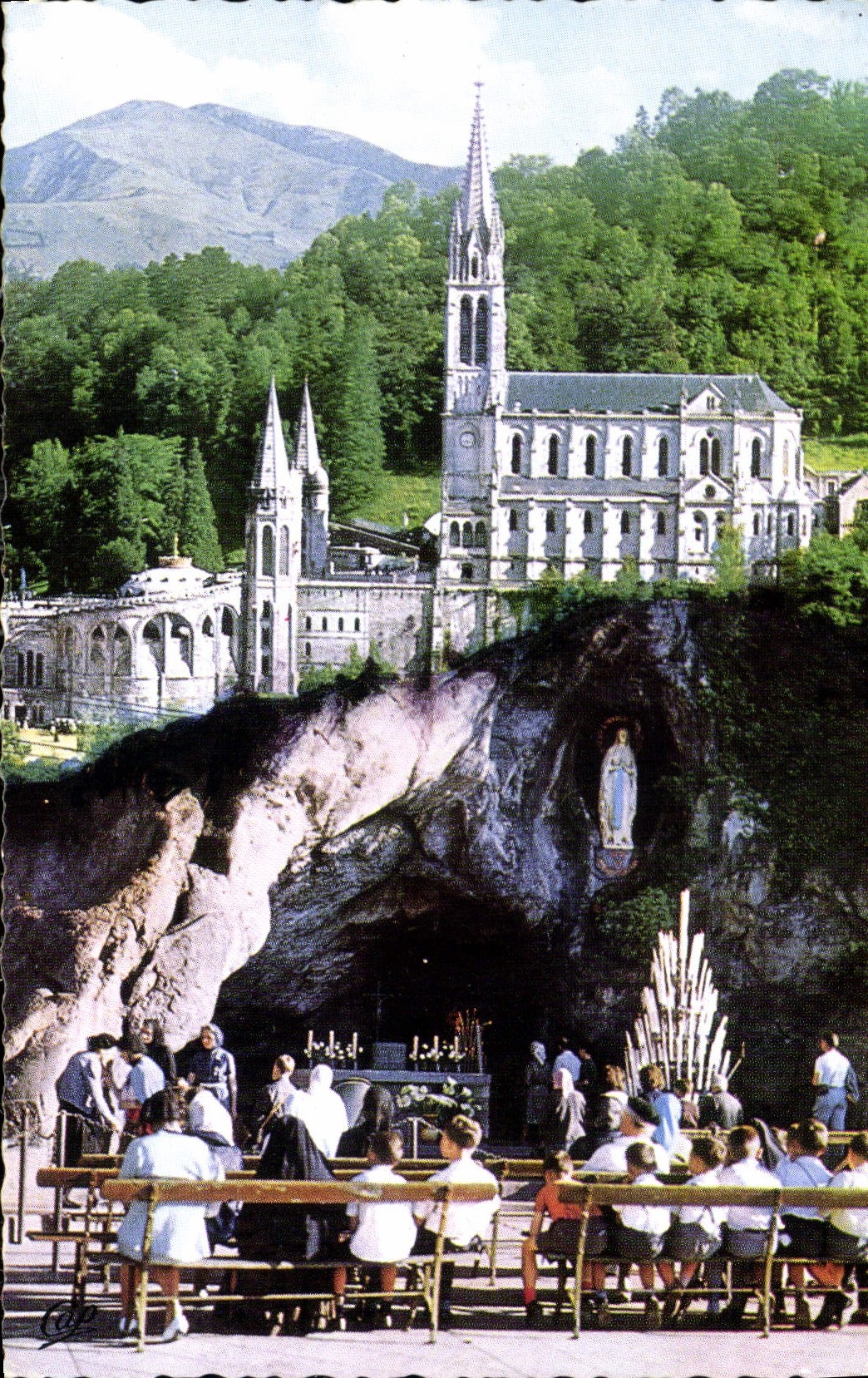 CPA Lourdes La Basilique la Grotte 