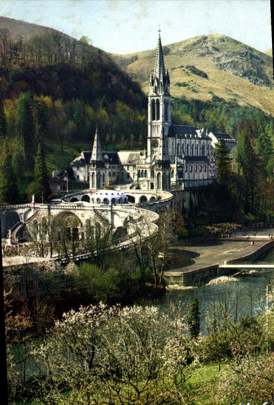 CPA Lourdes La Basilique le Gave et le nouveau Pont 