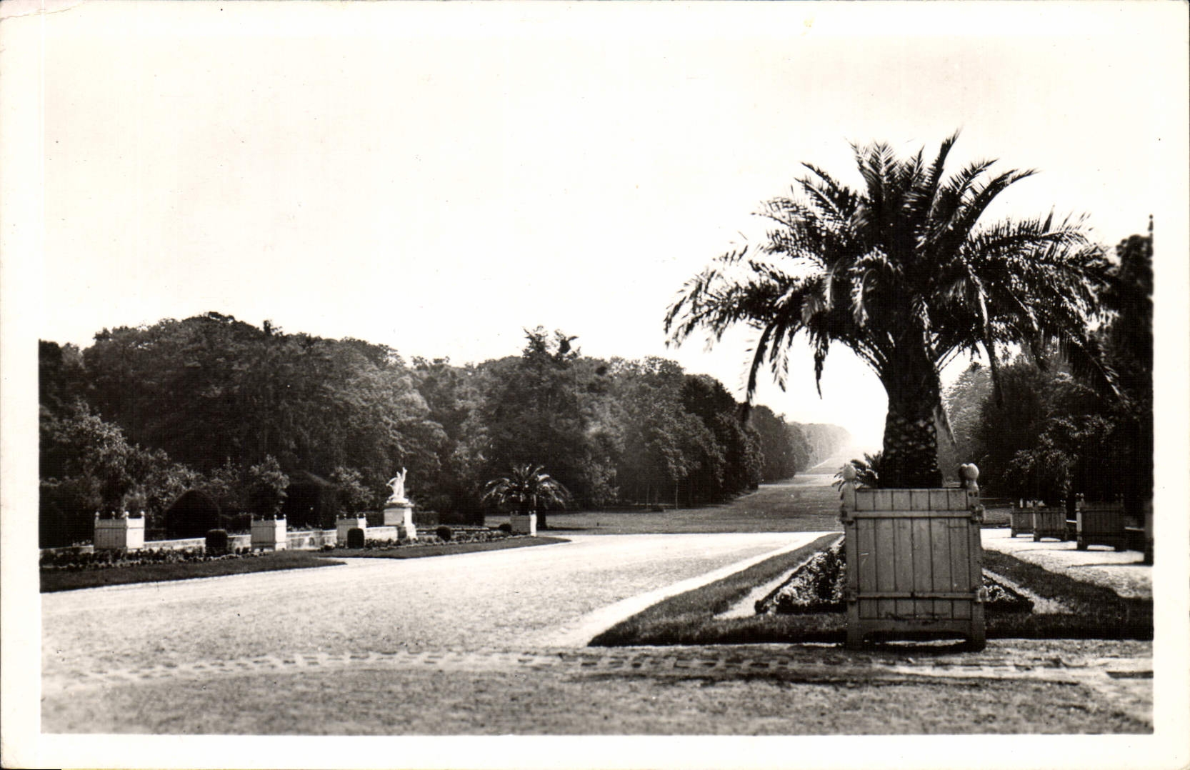 CPA Compiegne Oise le Parc du Chateau