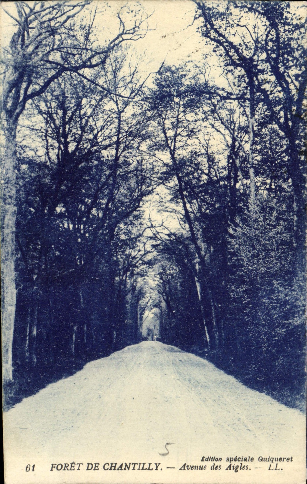CPA Foret de Chantilly Avenue des Aigles 
