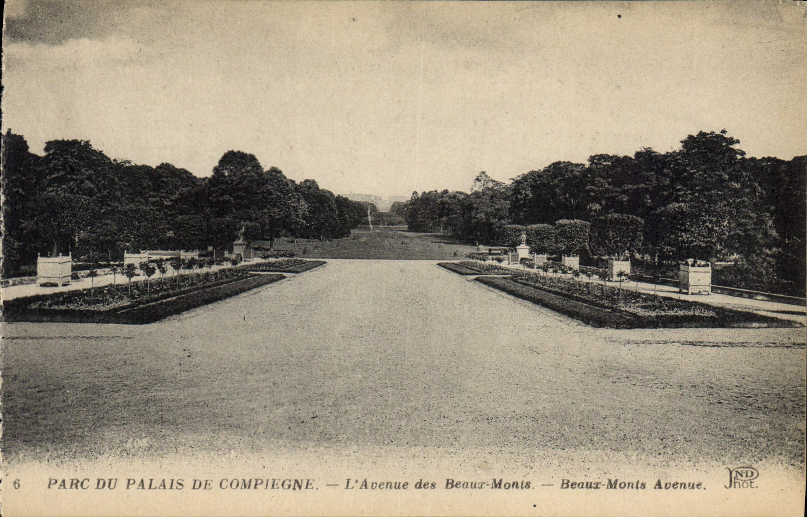 CPA Parc du Palais de Compiegne l'Avenue des Beaux Monts 