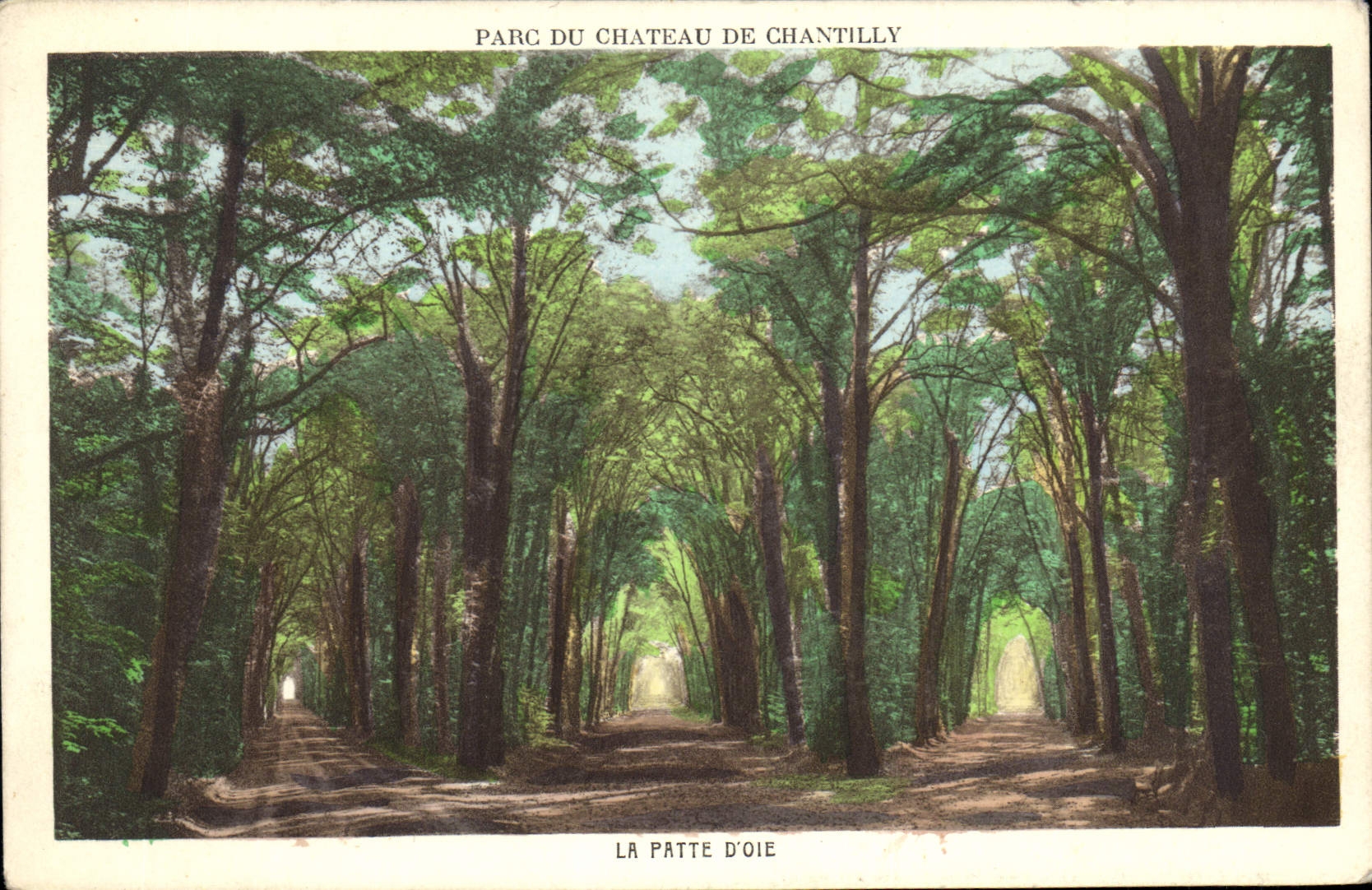 CPA Parc du Chateau de Chantilly la Patte d'Oie 