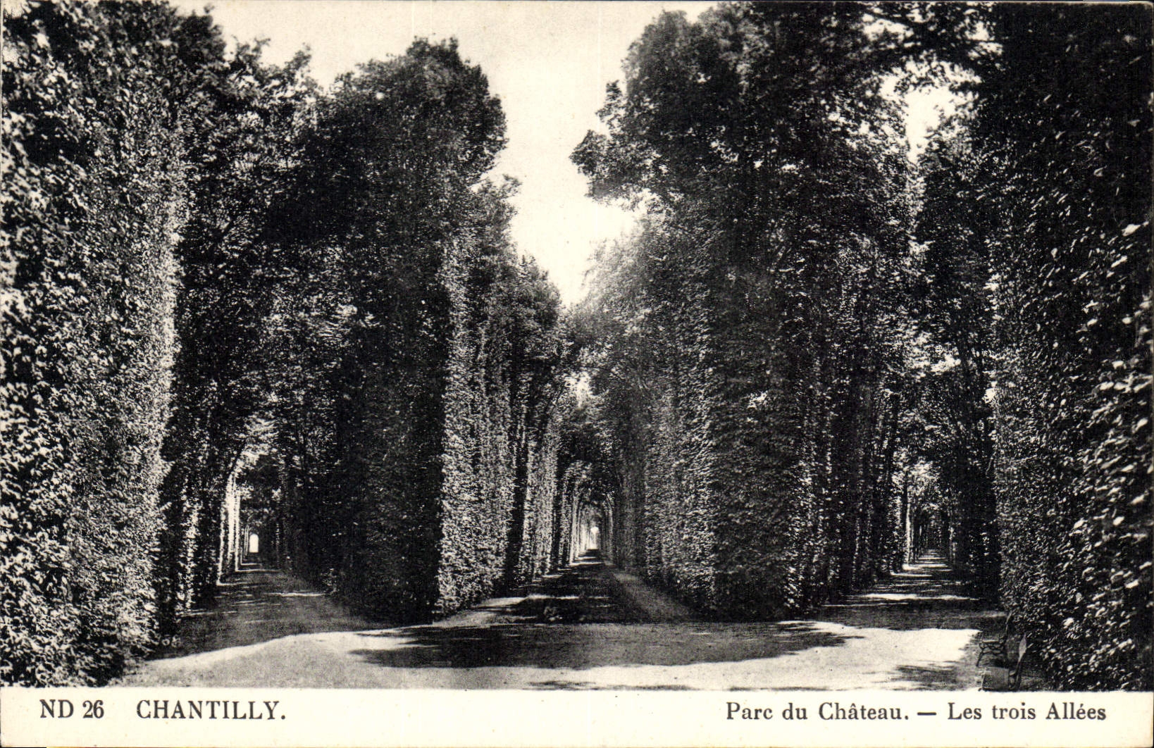 CPA Chantilly Parc du Chateau les Trois Allees 
