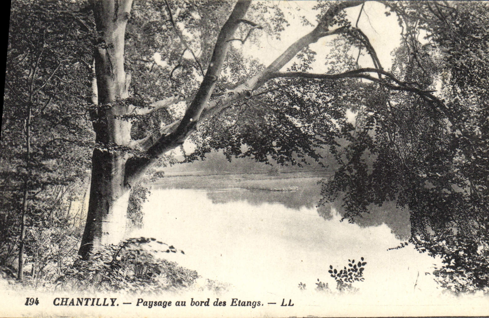CPA Chantilly Paysage au bord des Etangs
