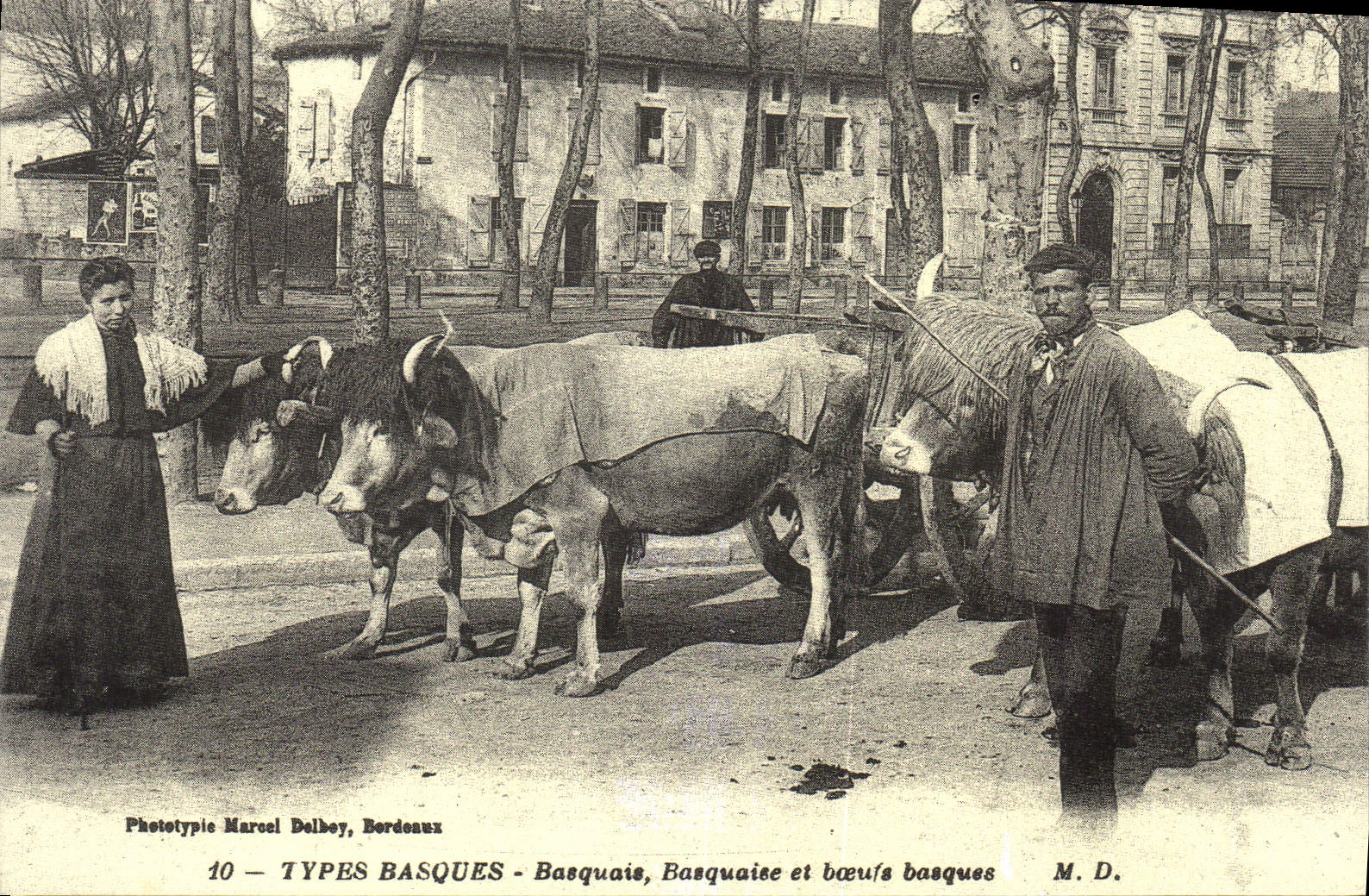 REPRO Types Basques Basquais Basquaise et boeufs Basques