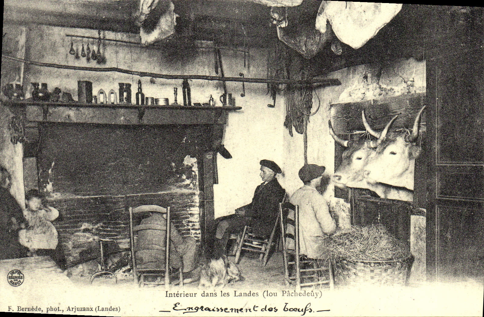 REPRO Interieur dans les Landes Lou Pachedeuy