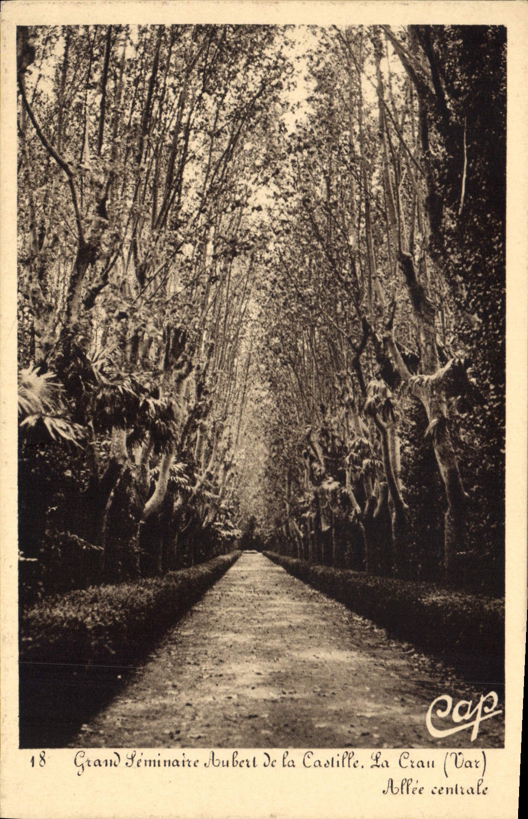 CPA Grand Seminaire Aubert de la Castille La Crau 
