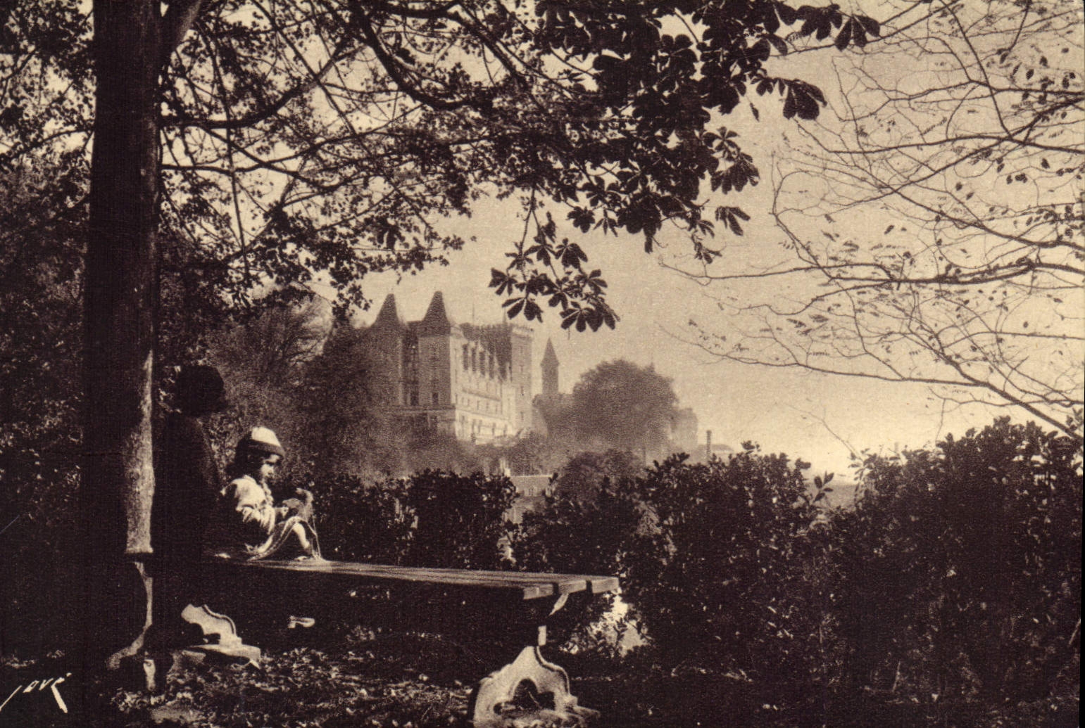 CPA Pau B P Le Chateau Henri IV vu du Parc National