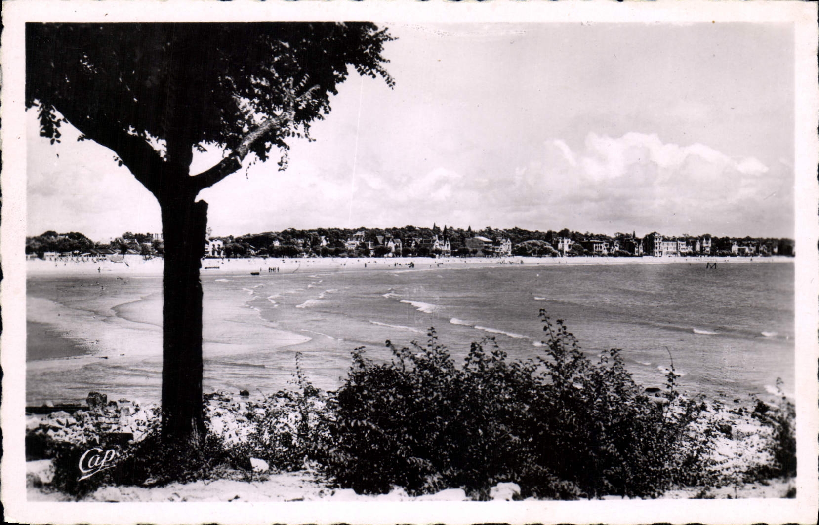 CPA Royan Vue generale de la Plage 