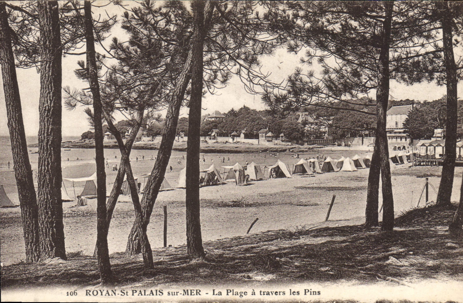 CPA Royan St Palais sur Mer La Plage a travers les Pins 