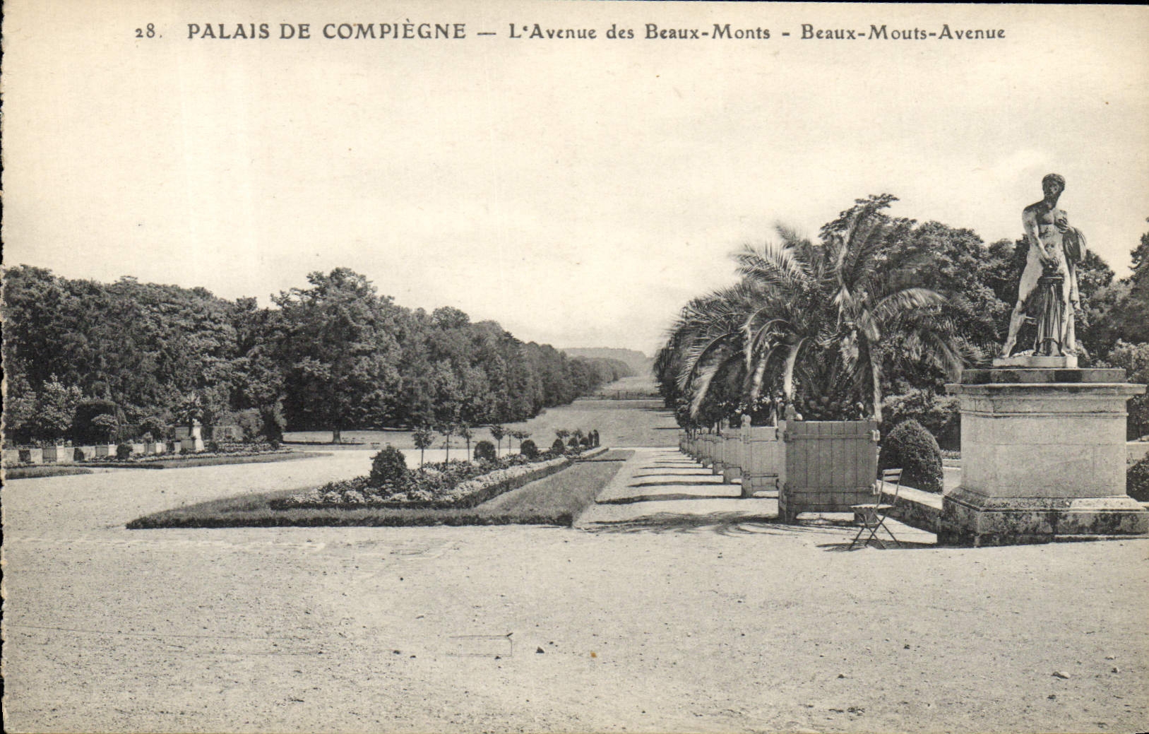 CPA Palais de Compiegne L'Avenue des Beaux Monts