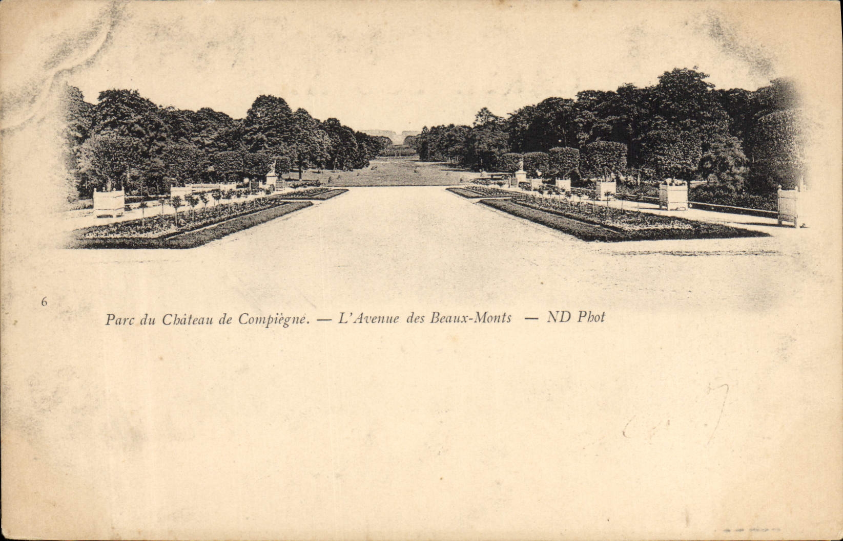 CPA Parc du Chateau de Compiegne L'Avenue des Beaux Morts 