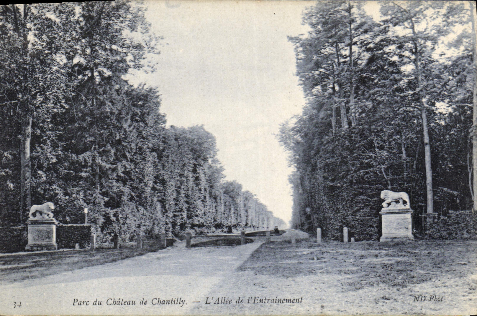 CPA Parc du Chateau de Chantilly l'Allee de l'Entrainement 