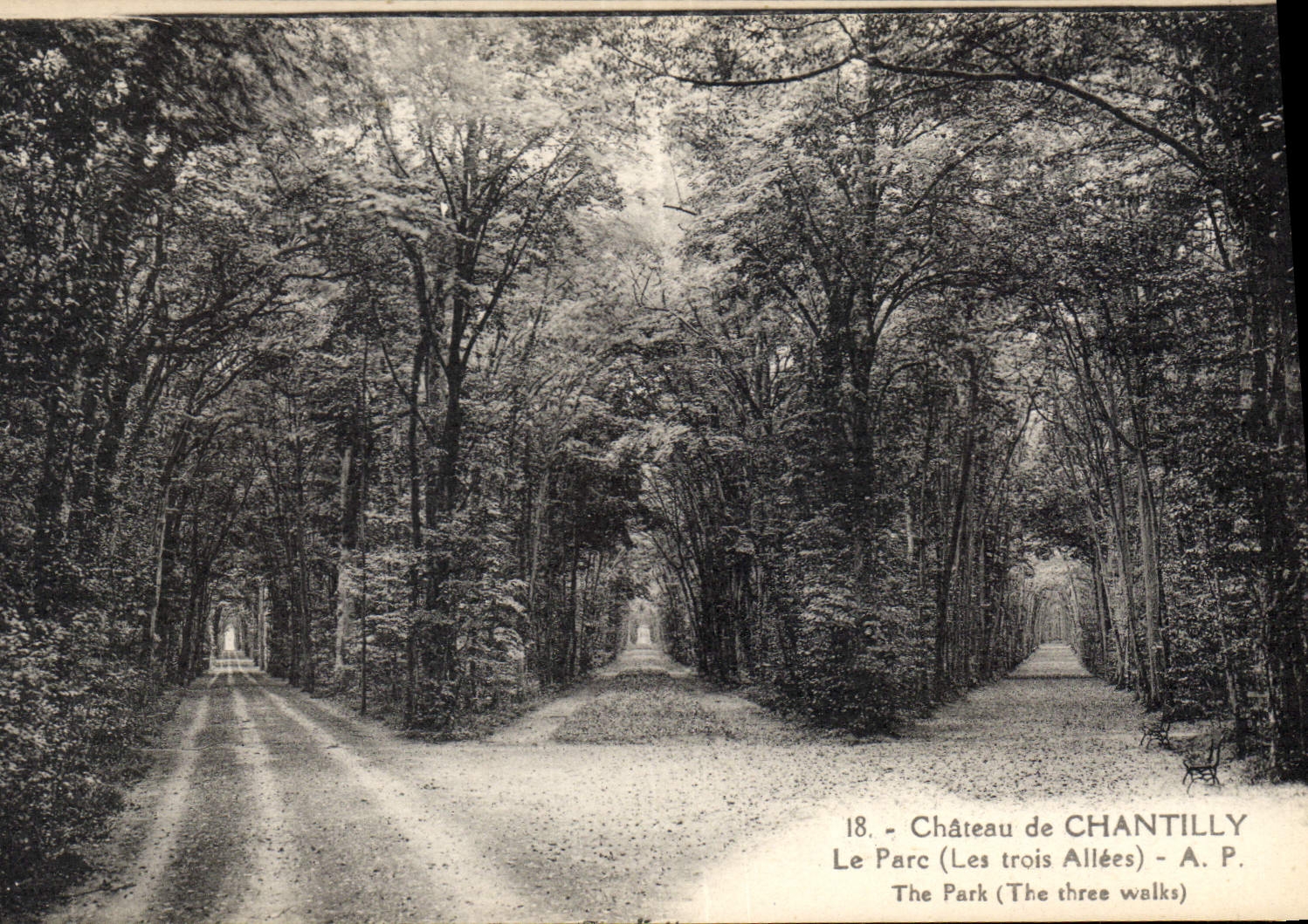 CPA Chateau de Chantilly le Parc les trois Allees