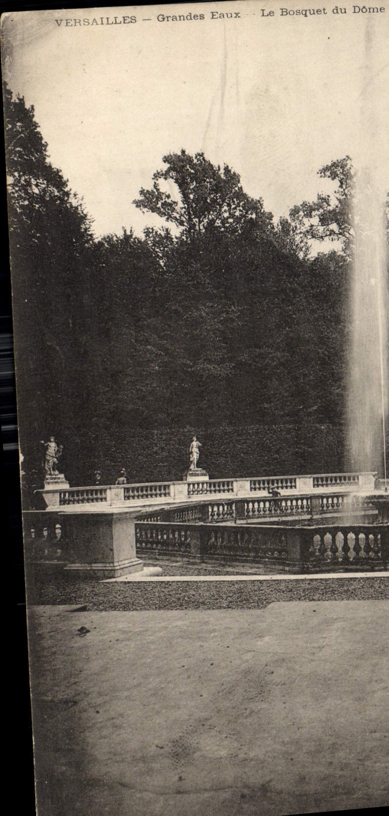 CPA Versailles Grandes Eaux le Bosquet du Dome