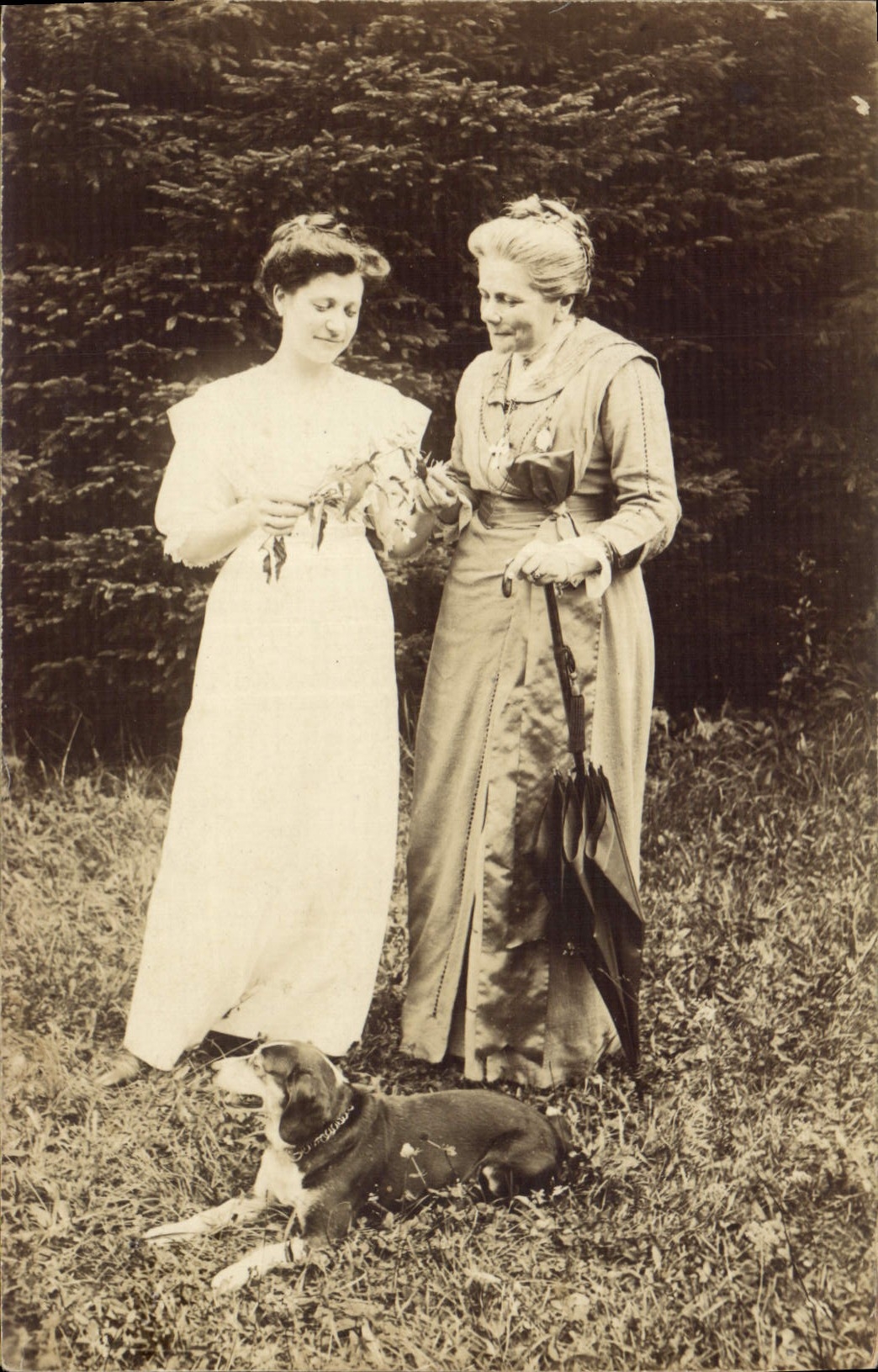 CARTE PHOTO Femmes Chien