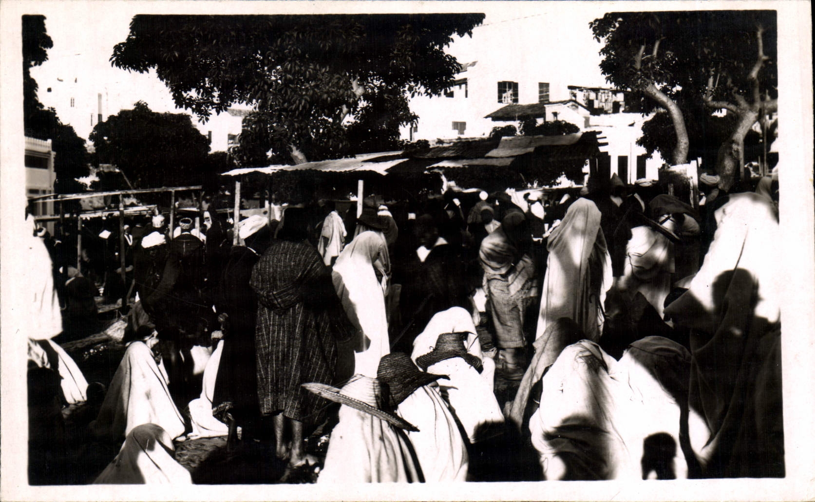 Photo Afrique du Nord