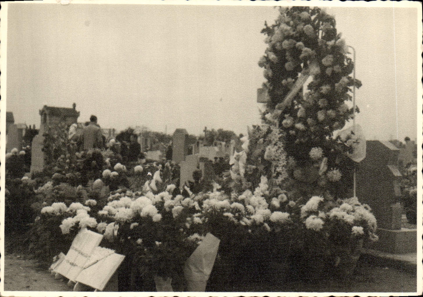 Photo Fleurs Cimetiere