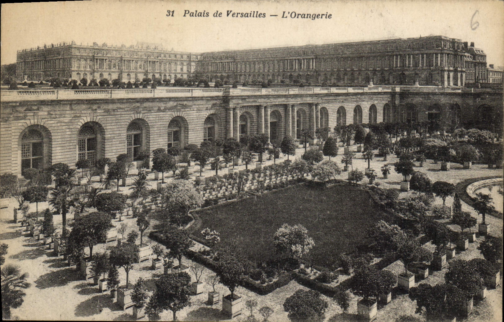 CPA Palais de Versailles L'Orangerie 
