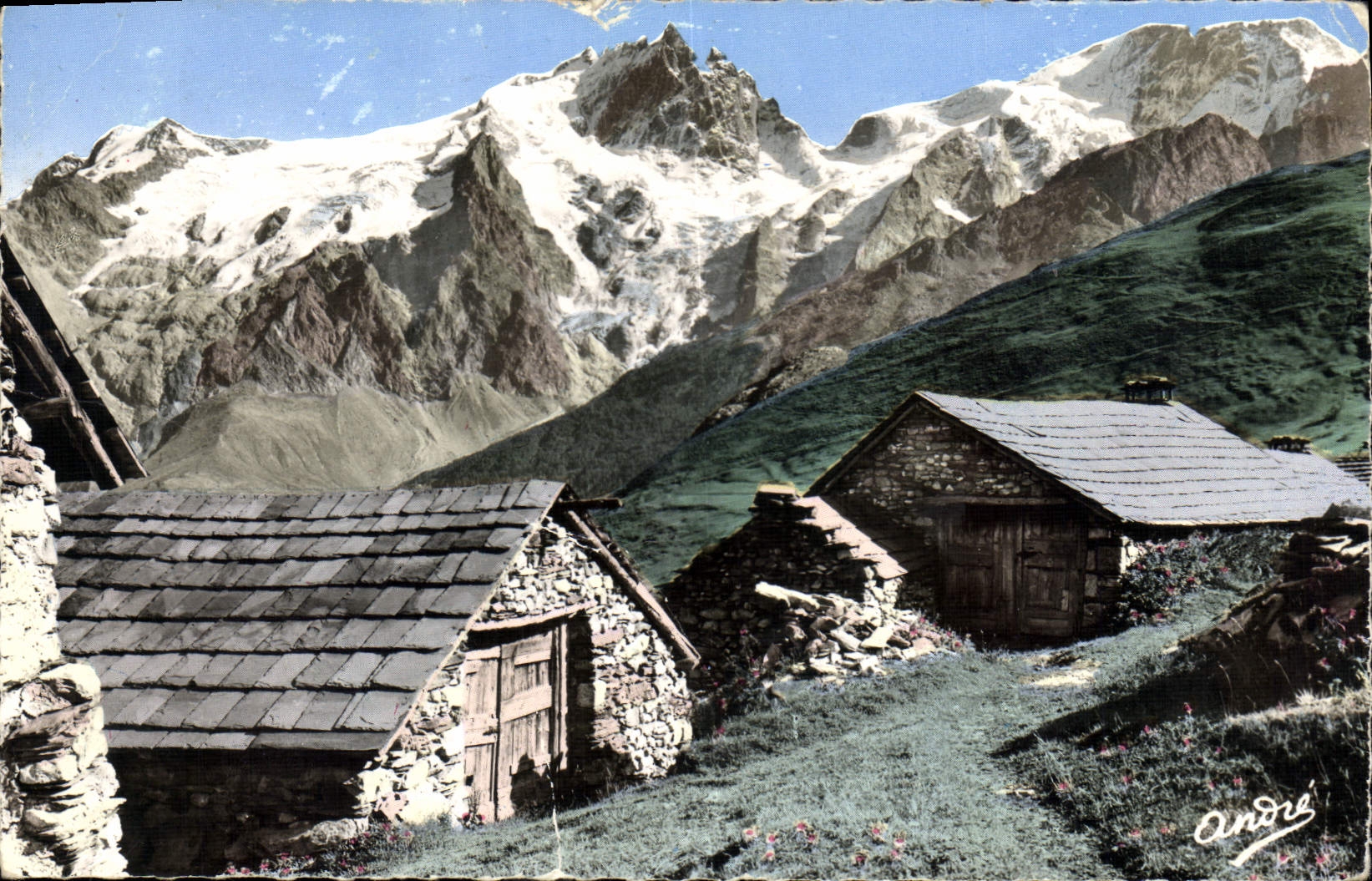 CPA Paysages Alpestres de bergers en haute montagne 