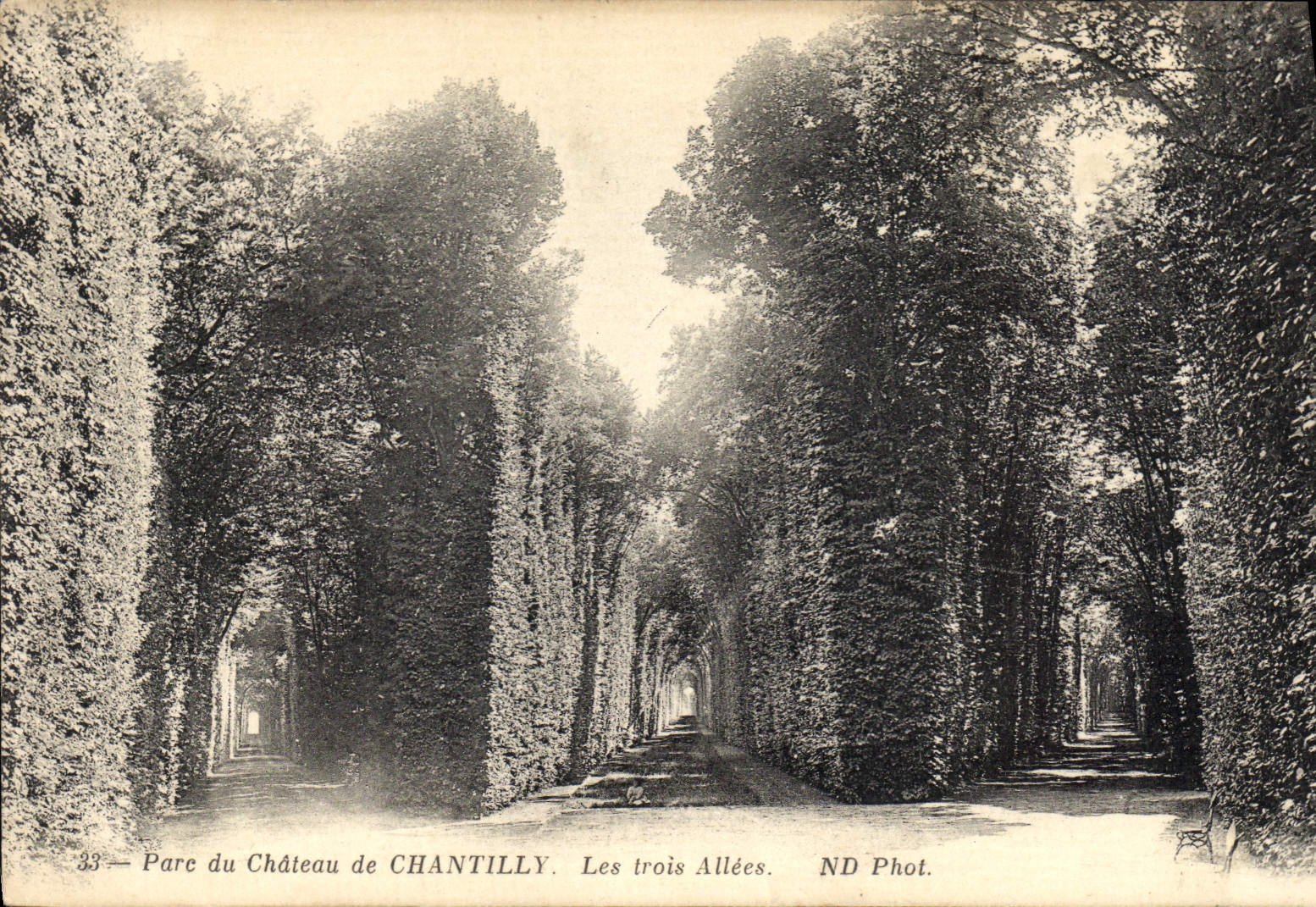 CPA Parc du Chateau de Chantilly Les trois Allees 