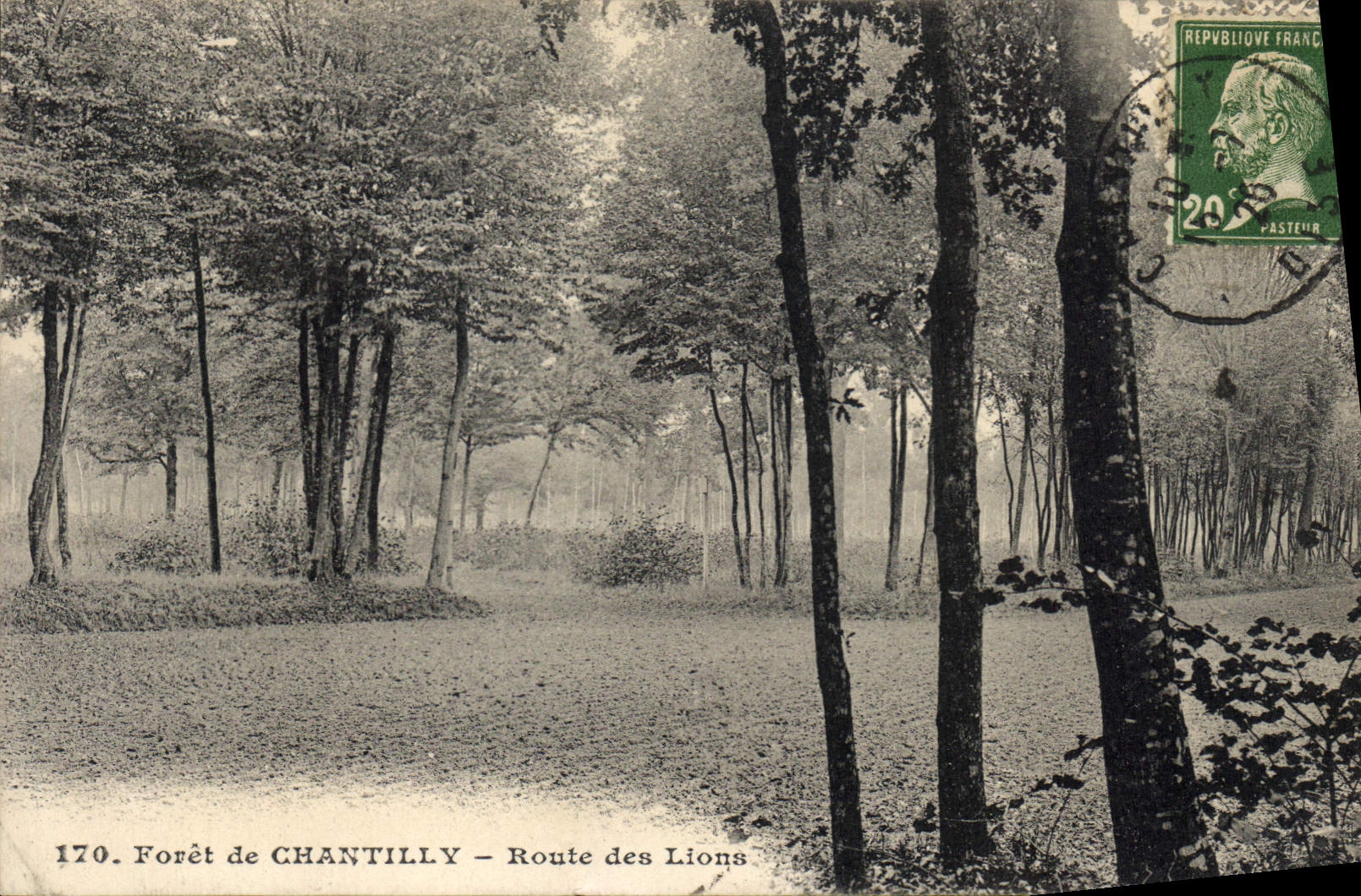 CPA Foret de Chantilly Route des Lions 