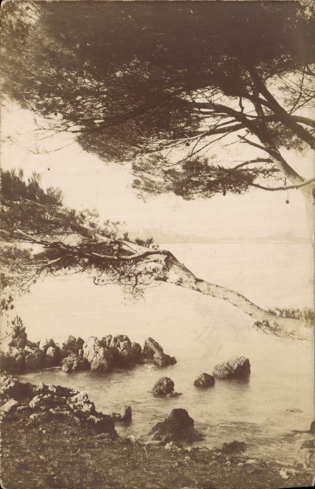 CARTE PHOTO Bord de mer