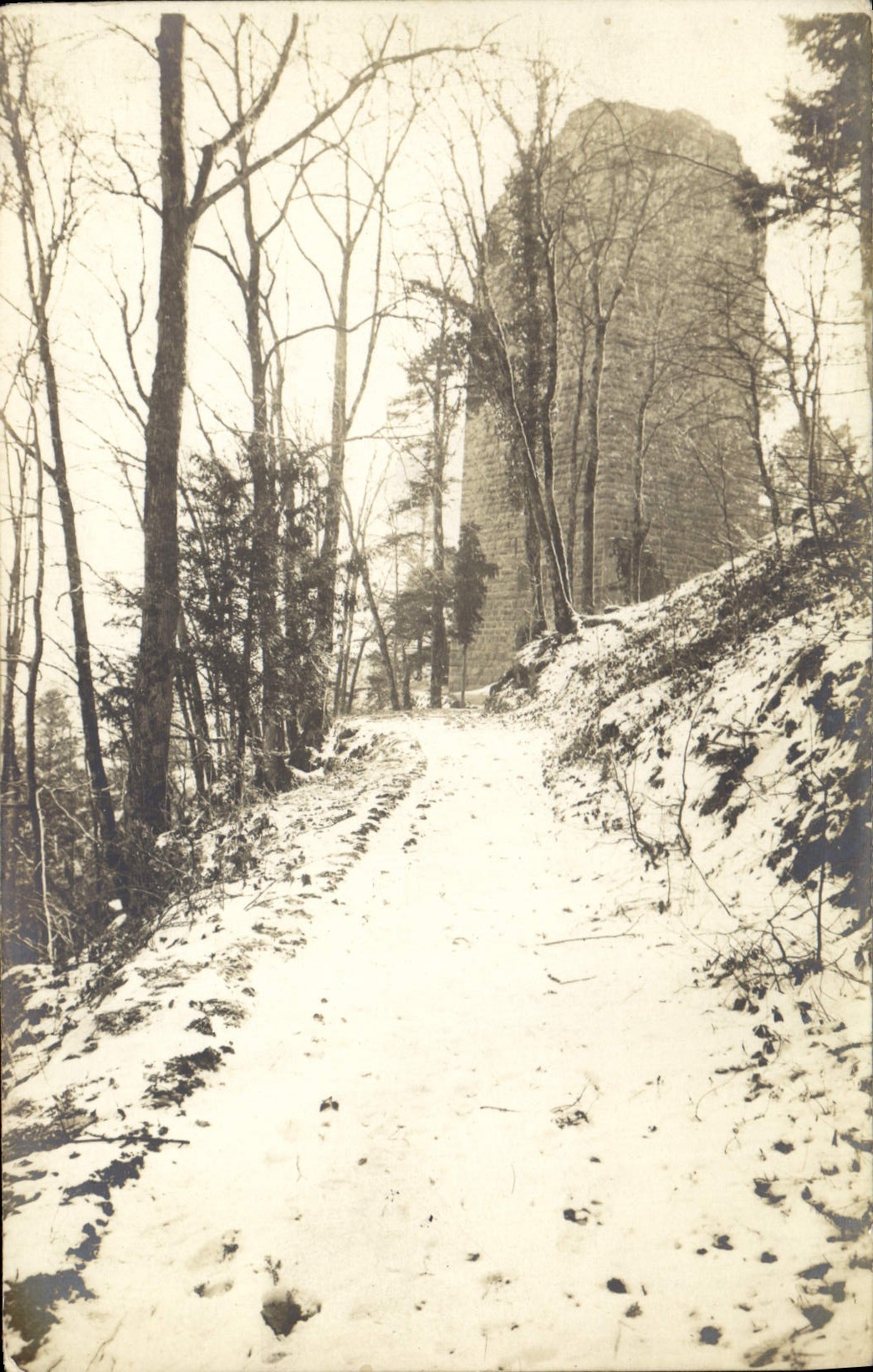 CARTE PHOTO Tour