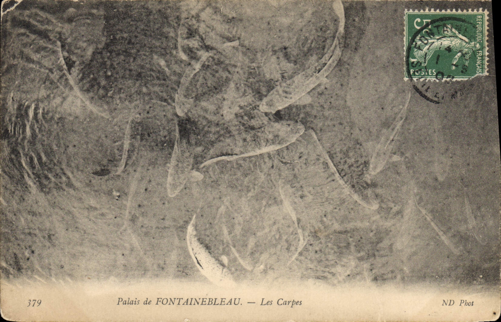 CPA Palais de Fontainebleau  Les Carpes 