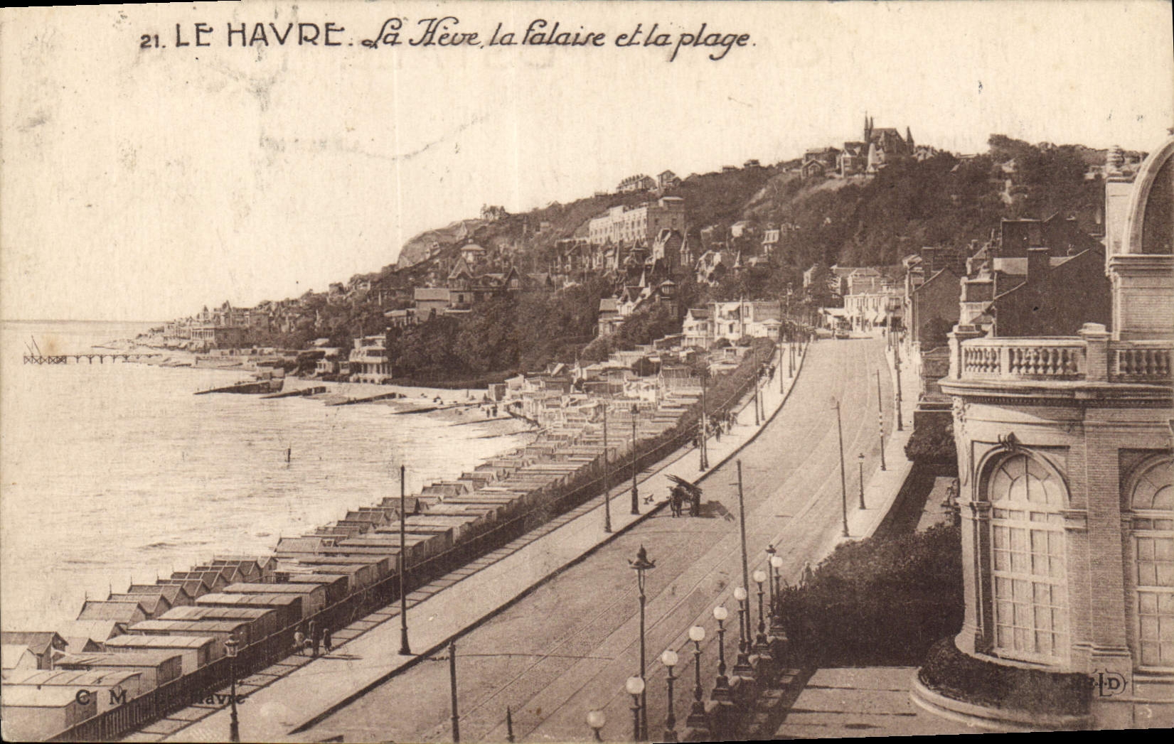 CPA Le Havre La Heve la Falaise et la Plage