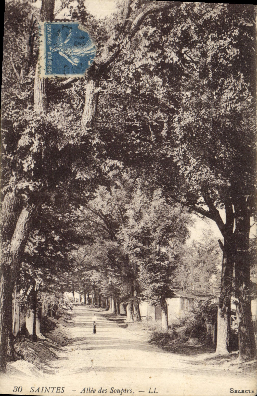 CPA Saintes Allee des Souptrs 
