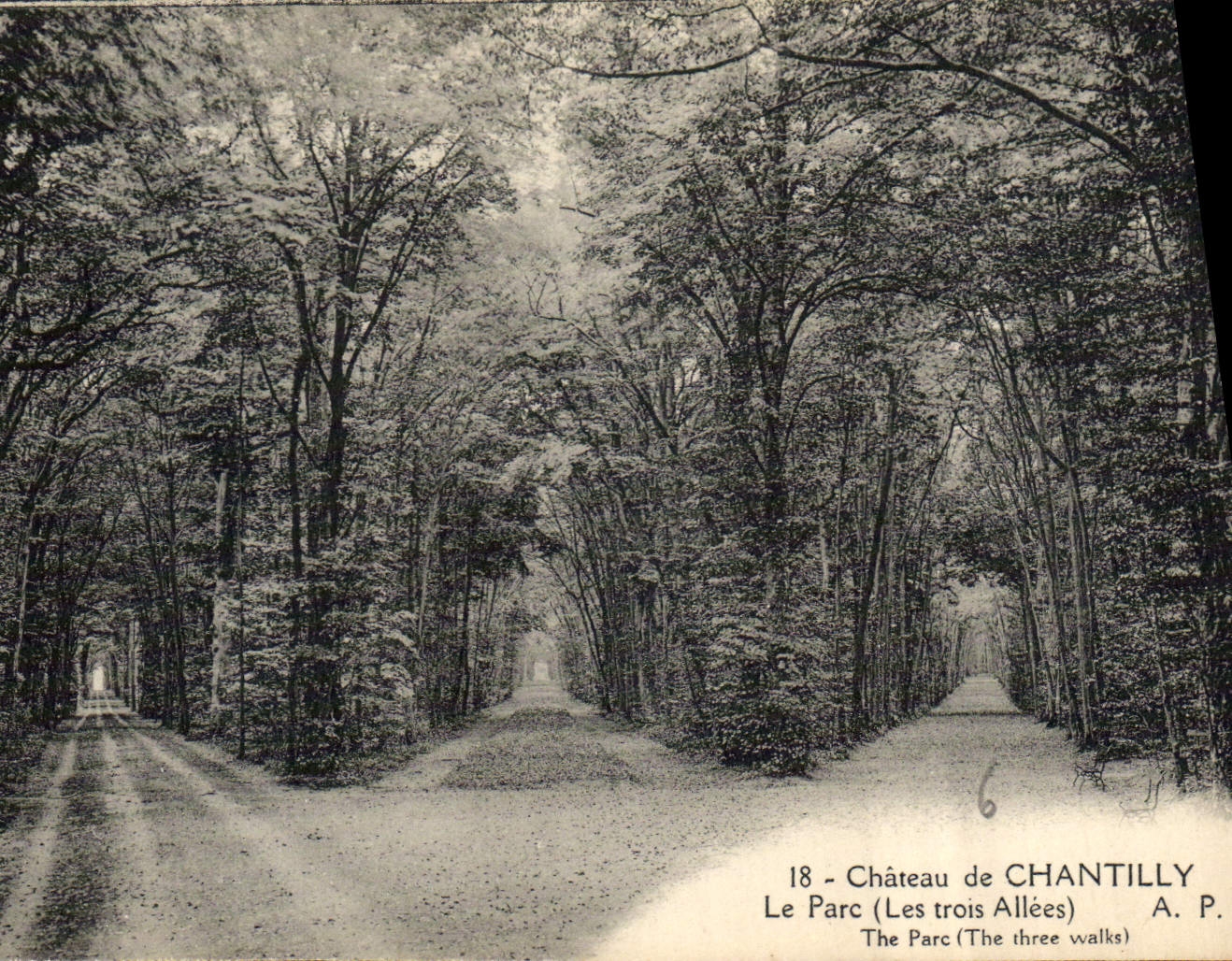 CPA Chateau de Chantilly Le Parc Les Trois Allees