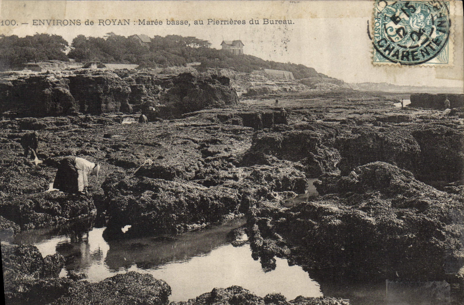 CPA Environs de Royan Maree Basse au Pierreres du Bureau 